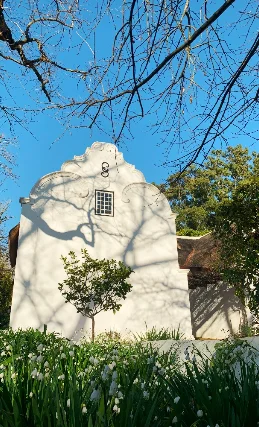 Blaauwklippen's History