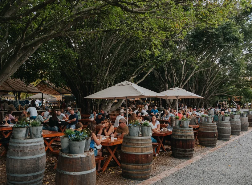 Valentine’s Day in Stellenbosch