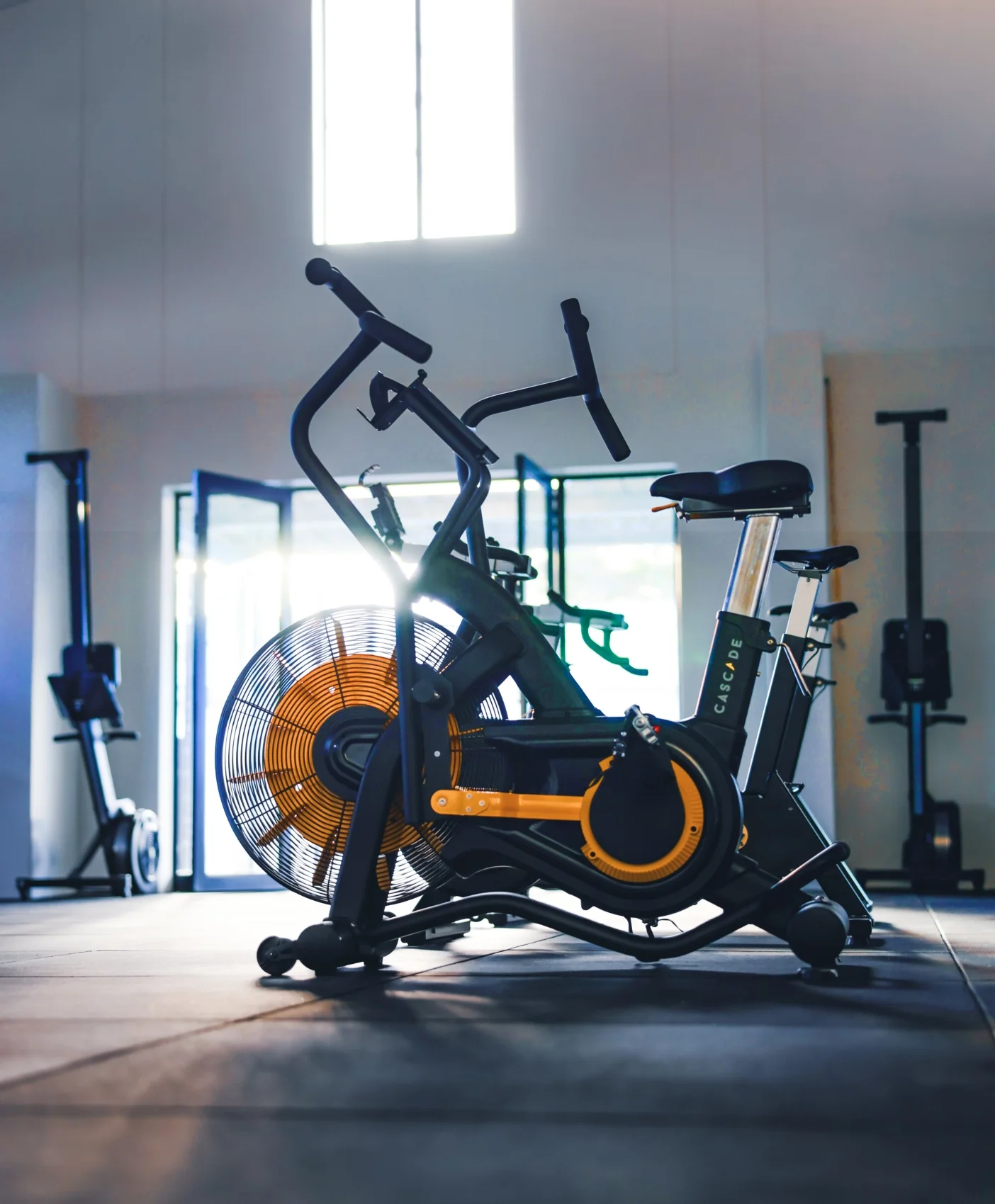 Blaauwklippen - Farm Gym 02@2x