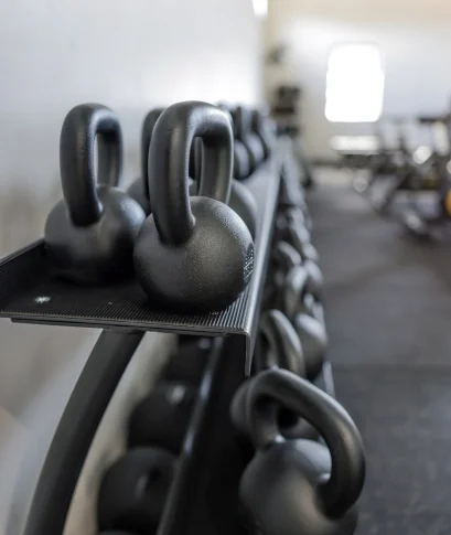 Blaauwklippen - Farm Gym 04