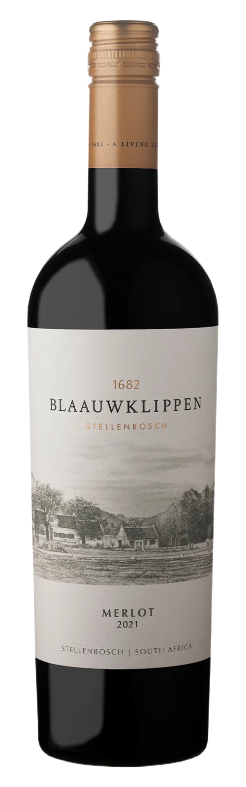 Brut MCC 2023