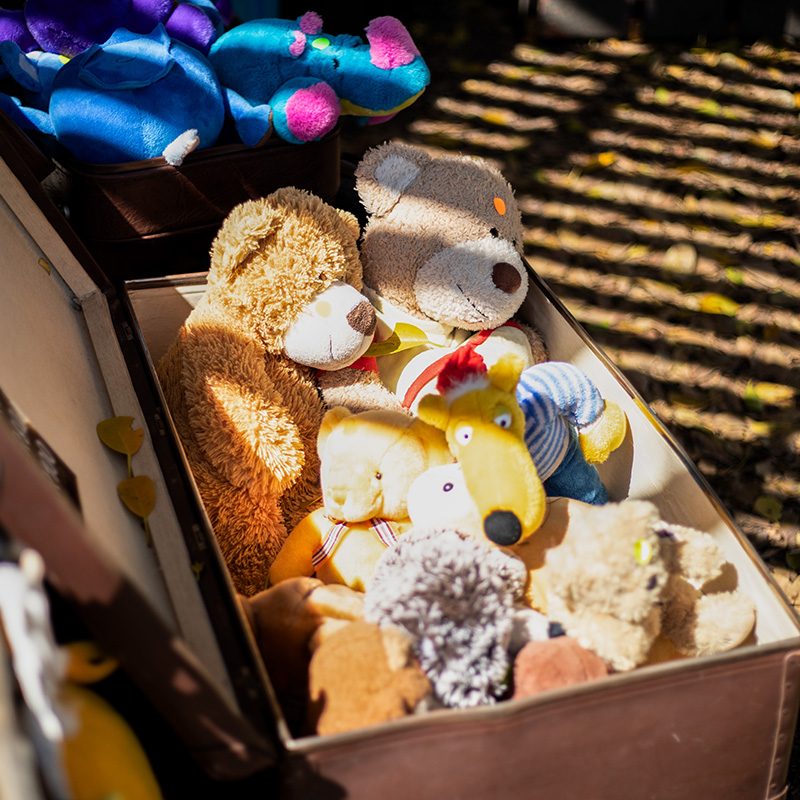 Blaauwklippen Family Market Boho Bear